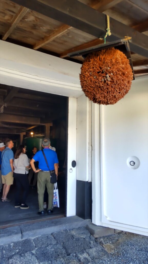 Sake tour guests entering Takasago Brewery under a traditional sugidama cedar ball.

